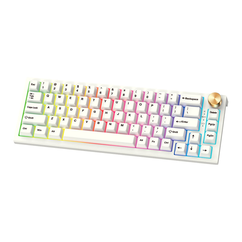 Teclado mecánico inalámbrico Fantech MK858-GSMPRO.CL